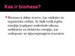 Презентация 'Biomasas', 3.