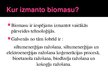 Презентация 'Biomasas', 4.