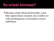 Презентация 'Biomasas', 10.