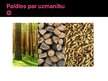 Презентация 'Biomasas', 14.