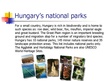 Презентация 'Hungary', 4.