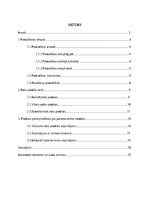 Реферат 'Roku protēzes', 3.