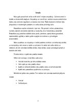 Реферат 'Roku protēzes', 4.