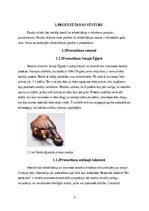 Реферат 'Roku protēzes', 5.