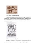 Реферат 'Roku protēzes', 8.