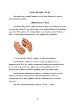 Реферат 'Roku protēzes', 10.