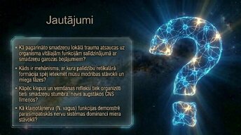 Презентация 'Nervu sistēmas arhitektūra un smadzeņu stumbrs', 15.