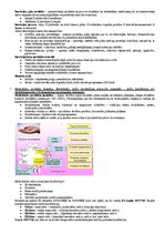 Образец документа 'Medicīniskās tehnikas projektēšana', 5.