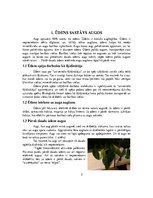 Конспект 'Ūdens sastāvs procentos augos un dzīvās būtnēs', 5.