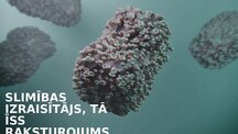 Презентация 'Infekcijas slimības: Mēris (Yersinia pestis)', 2.