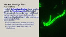 Презентация 'Infekcijas slimības: Mēris (Yersinia pestis)', 3.