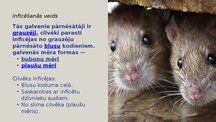 Презентация 'Infekcijas slimības: Mēris (Yersinia pestis)', 5.