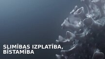 Презентация 'Infekcijas slimības: Mēris (Yersinia pestis)', 8.