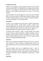 Конспект 'A. Pumpura eposa “Lāčplēsis” analīze', 3.