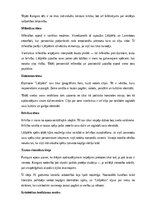 Конспект 'A. Pumpura eposa “Lāčplēsis” analīze', 5.