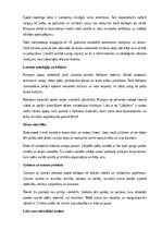 Конспект 'A. Pumpura eposa “Lāčplēsis” analīze', 6.