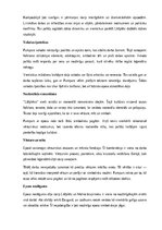Конспект 'A. Pumpura eposa “Lāčplēsis” analīze', 8.