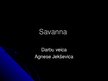 Презентация 'Savanna', 1.