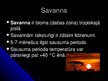Презентация 'Savanna', 2.
