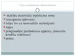 Презентация 'Biznesa plāna prezentācija', 4.