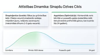 Презентация 'Sinaptiskā apgriešana: kāpēc smadzenes likvidē neizmantotos savienojumus', 4.