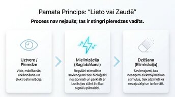 Презентация 'Sinaptiskā apgriešana: kāpēc smadzenes likvidē neizmantotos savienojumus', 5.