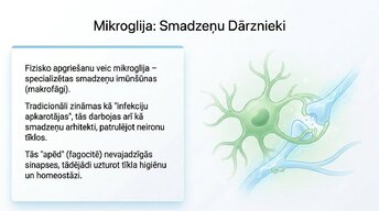 Презентация 'Sinaptiskā apgriešana: kāpēc smadzenes likvidē neizmantotos savienojumus', 6.