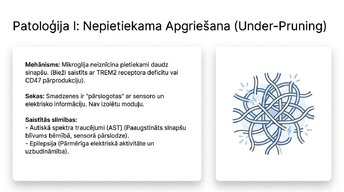 Презентация 'Sinaptiskā apgriešana: kāpēc smadzenes likvidē neizmantotos savienojumus', 11.