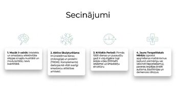 Презентация 'Sinaptiskā apgriešana: kāpēc smadzenes likvidē neizmantotos savienojumus', 13.