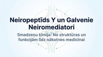 Презентация 'Neiropeptīds Y un galvenie neiromediatori', 1.