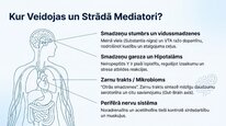 Презентация 'Neiropeptīds Y un galvenie neiromediatori', 7.