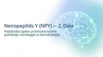 Презентация 'Neiropeptīds Y un galvenie neiromediatori', 13.