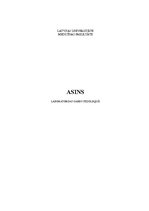 Образец документа 'Asins', 1.