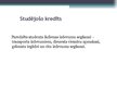 Презентация 'Kredītu būtība un to izplatība Daugavpils Universitātes studentu vidū', 13.