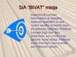 Презентация 'SIA "Bivat"', 2.