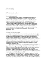 Реферат 'Klientu piesaiste, saglabāšana un skaita palielināšanas metodes un to rezultativ', 4.