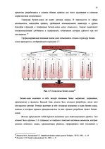 Дипломная 'Анализ внутренней и внешней среды и план развития SIA "Izabella-D"', 19.