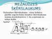 Презентация 'Mežaudzes šķērslaukuma noteikšanas vienkāršotie paņēmieni', 3.