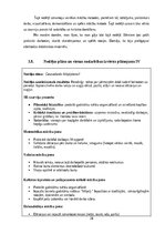 Отчёт по практике 'Pirmsskolas skolotāja pedagoģiskā prakse  3.vecumposms', 28.