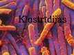 Презентация 'Klostrīdiju ģints baktērijas', 1.