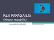 Презентация 'Kea papagailis', 1.