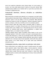 Эссе 'Policista profesijas apguve kā karjeras iespēja pēc 12. klases beigšanas', 11.
