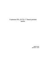 Конспект 'Uzņēmuma SIA "Elva-1" finanšu pārskatu analīze', 1.