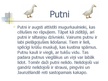 Презентация 'Putni', 2.
