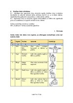 Реферат 'Darba aizsardzības instrukcija par drošības zīmju lietošana darba vietās', 8.