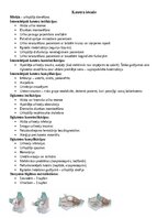 Конспект 'Urīnkatetri', 1.