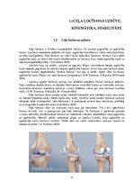 Реферат 'Ceļa locītavas anatomija,stabilitāte un kinemātika', 4.