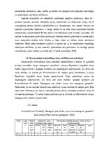 Реферат 'Starptautisko noziegumu pierādījumu tiesiskie aspekti', 19.