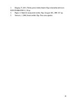 Реферат 'Starptautisko noziegumu pierādījumu tiesiskie aspekti', 28.