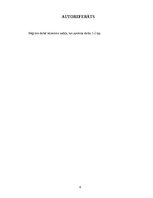 Образец документа 'Noslēguma darba sagatave LU EZTF studentiem', 4.